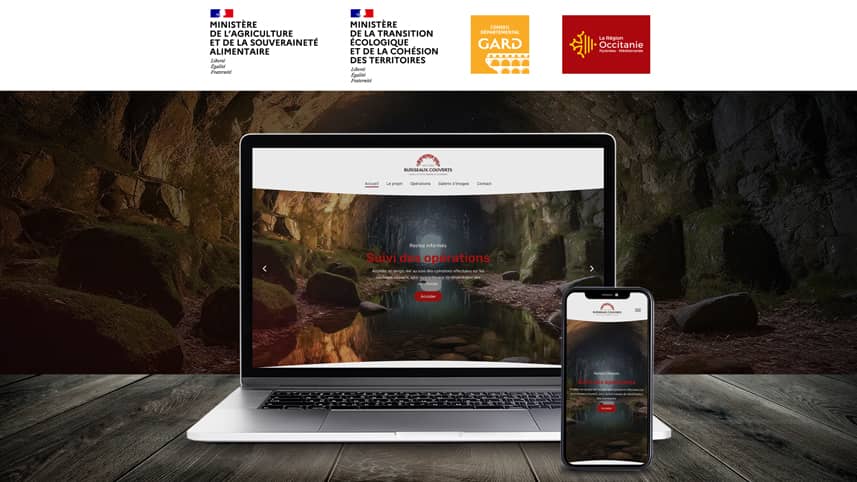 Diseño web institucional en Alicante